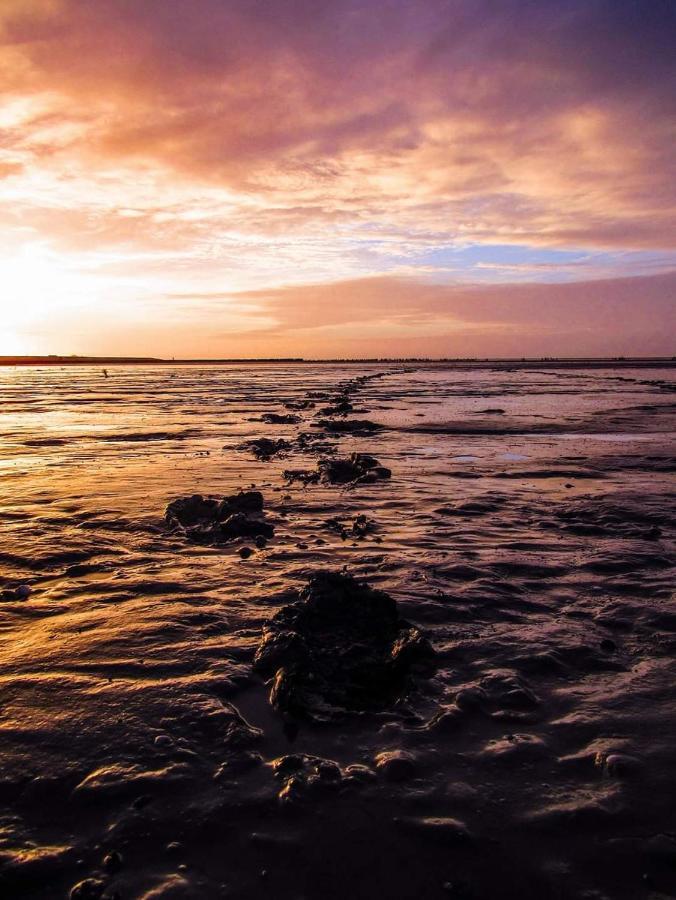 Vissershuisje Aan De Waddenzee Paesens Bagian luar foto